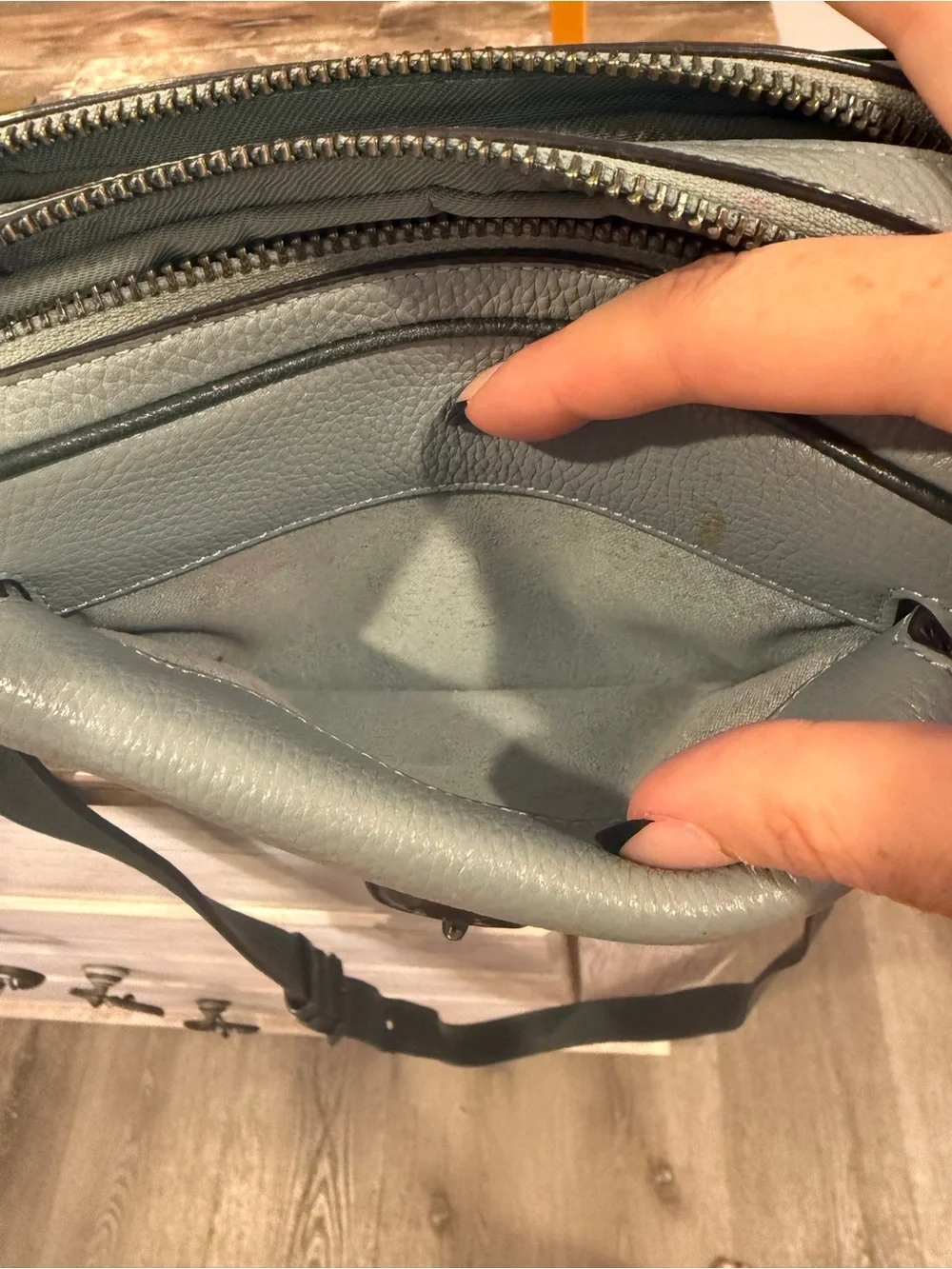 Coach Pebbled Leather Camera Crossbody Bag Sage Green Gunmetal Hardware
